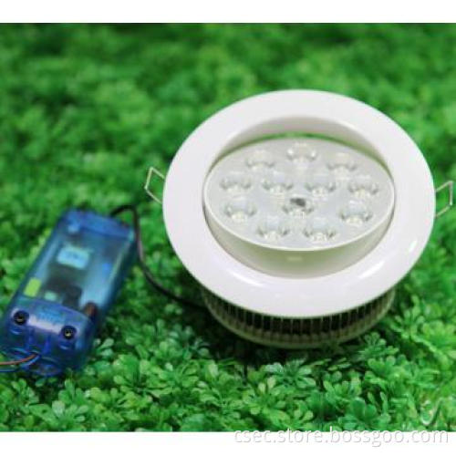 Chousen LED Downlight with high brightness and power